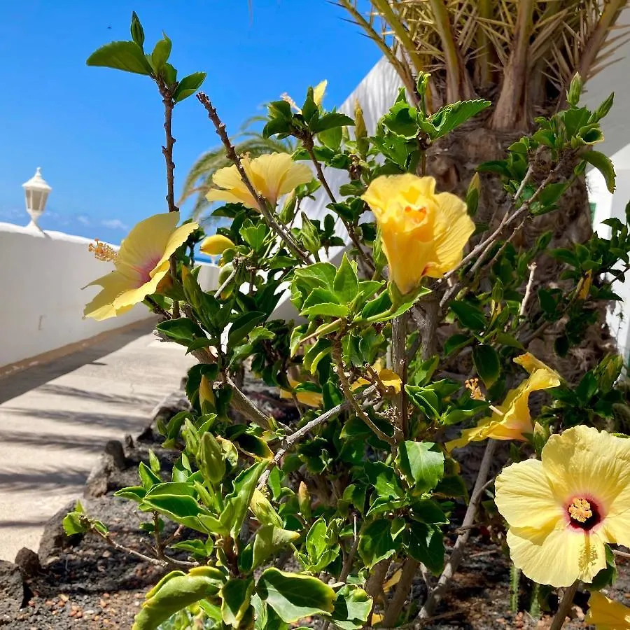 Apartamento La Concha Seaview Direct At The Beach & Sea El Cotillo