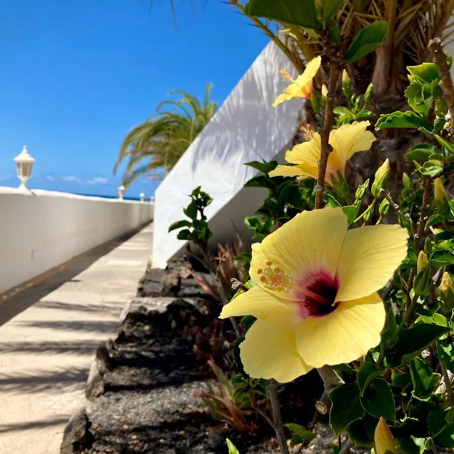 Apartamento La Concha Seaview Direct At The Beach & Sea El Cotillo  0*, El Cotillo (Fuerteventura)